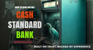 Instant Cash Transfers: A Step-by-Step Guide for Standard Bank Users