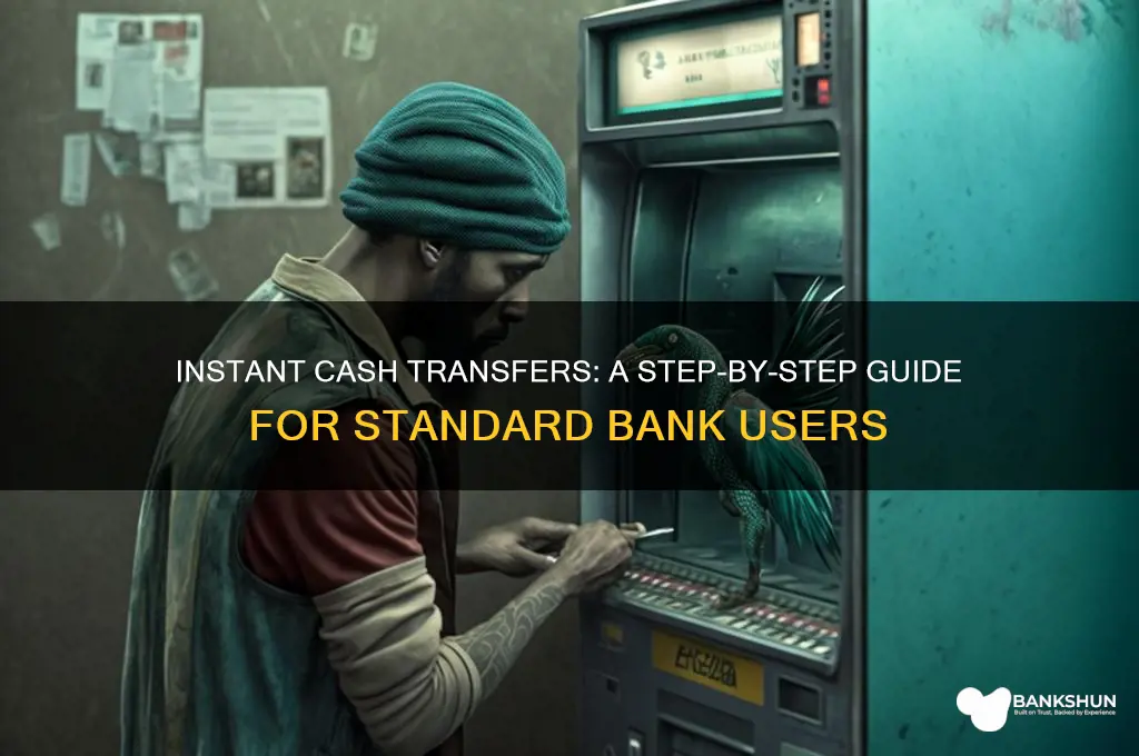 how to send instant cash standard bank