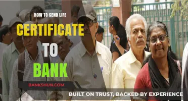 Easy Steps to Submit Your Life Certificate to the Bank