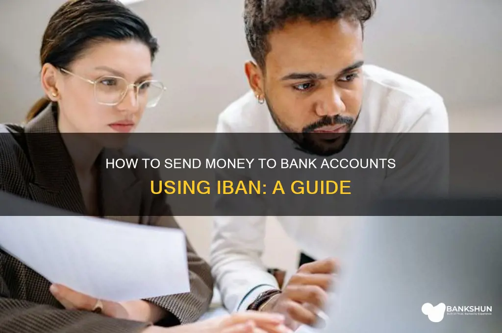 how to send to bank with iban