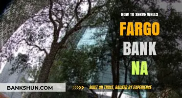 Effective Strategies to Serve Wells Fargo Bank NA Successfully