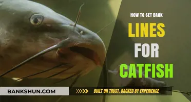 Mastering Catfish Fishing: Effective Bank Line Setup Techniques Revealed