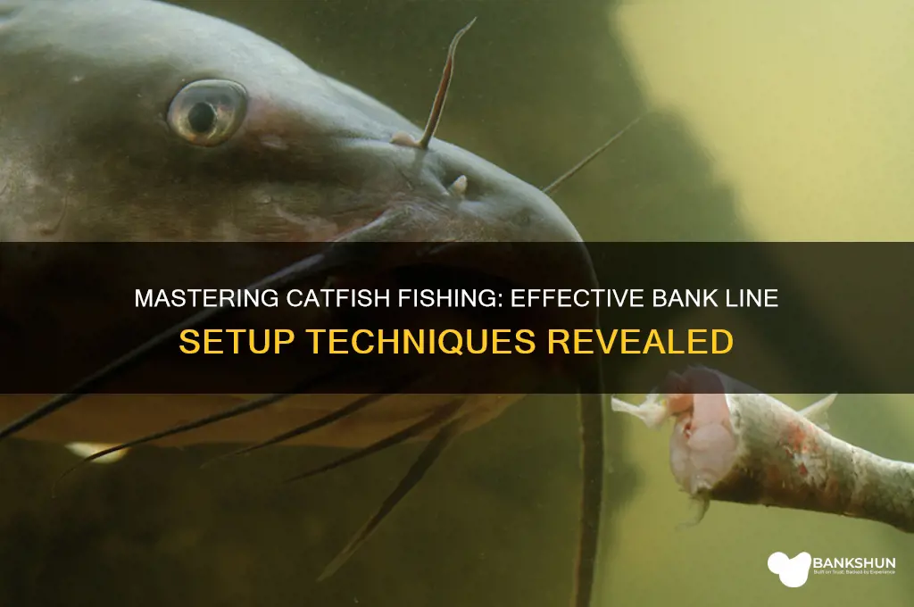 how to set bank lines for catfish