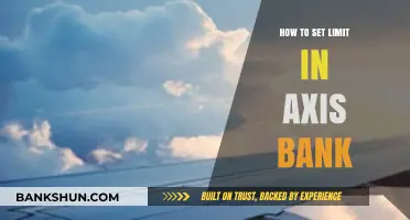 Setting Transaction Limits in Axis Bank: A Step-by-Step Guide