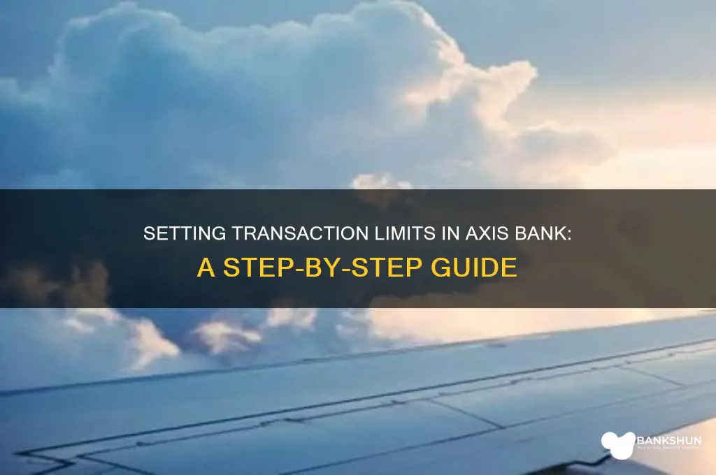 how to set limit in axis bank