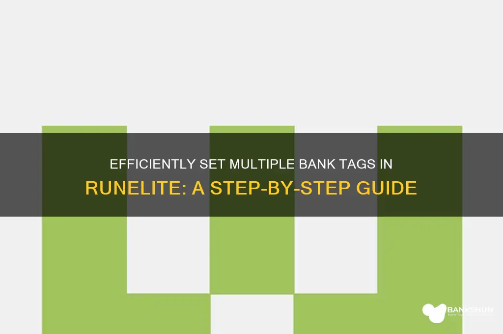 how to set multiple bank tags runelite
