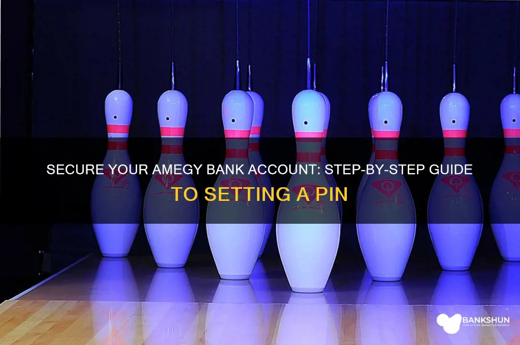 how to set pin on amegy bank