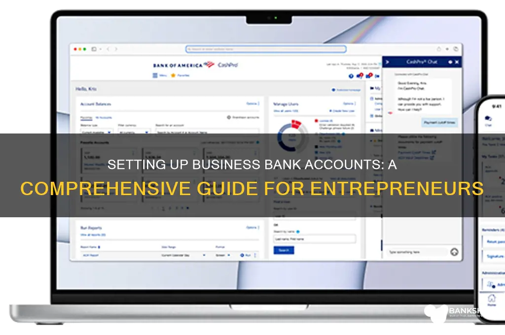 how to set up banks for buisness