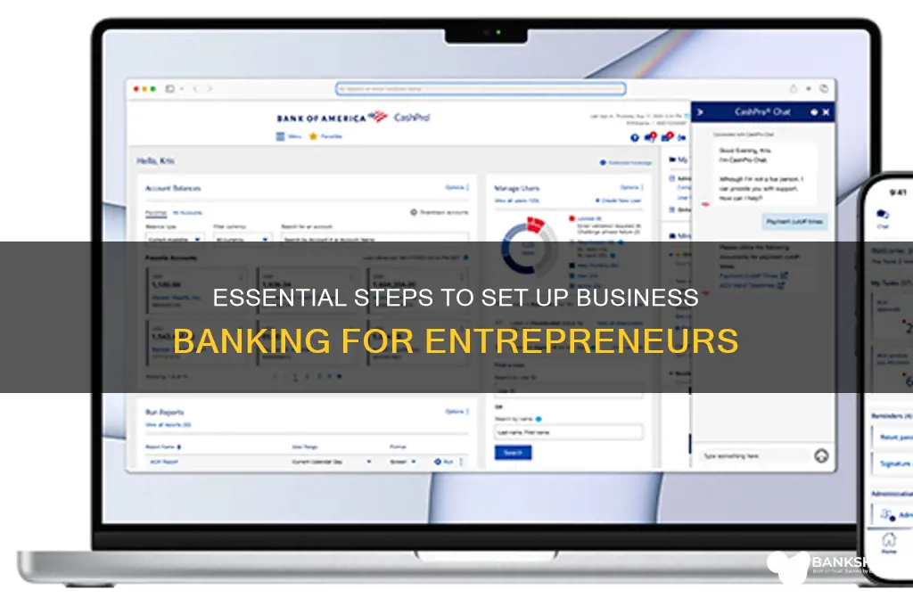how to set up banks for business