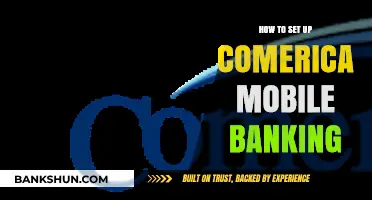 Step-by-Step Guide to Setting Up Comerica Mobile Banking Easily