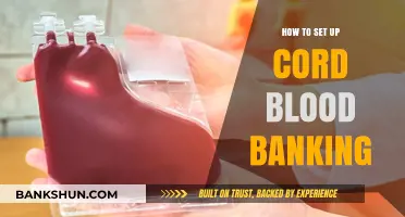 A Comprehensive Guide to Setting Up Cord Blood Banking