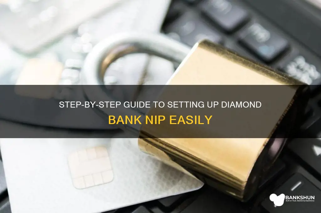 how to set up diamond bank nip