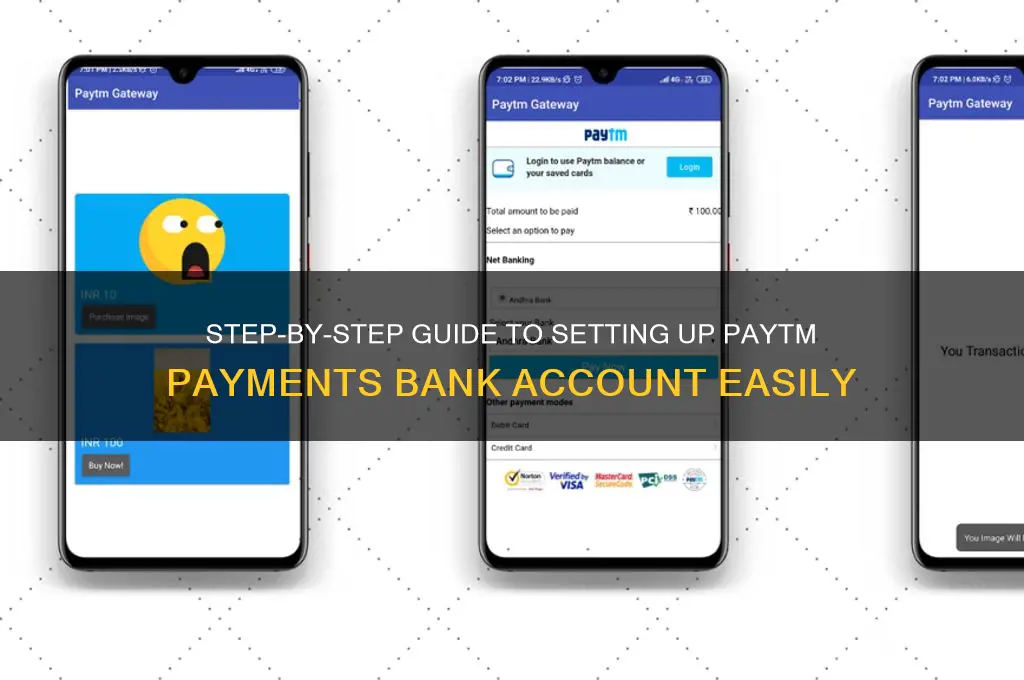 how to set up paytm payments bank