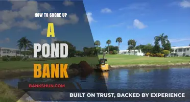 Effective Techniques to Stabilize and Protect Your Pond Bank