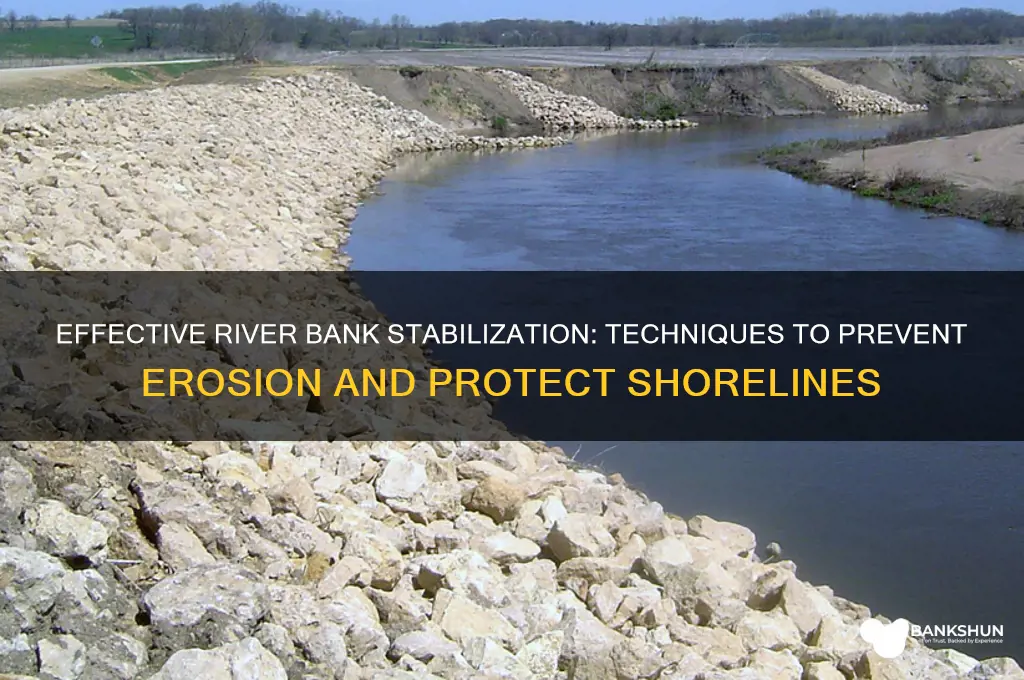 how to shore up a river bank