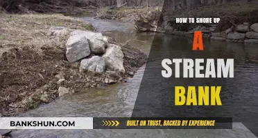 Effective Stream Bank Erosion Control: Techniques to Stabilize and Protect Shorelines