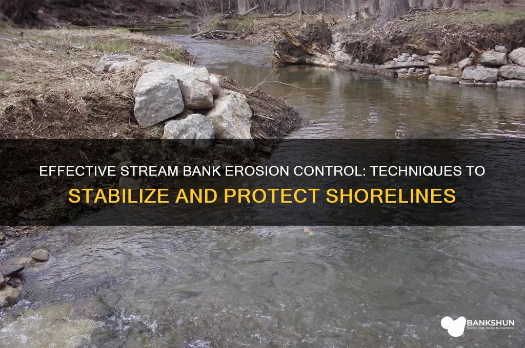 how to shore up a stream bank
