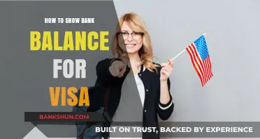 Proving Financial Stability: How to Show Bank Balance for Visa Applications