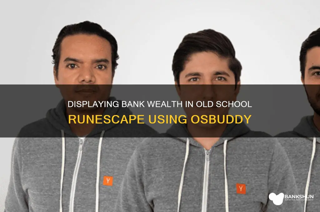 how to show bank wealth with osbuddy