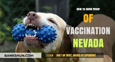 Nevada Vaccination Proof: Easy Steps to Show Your COVID-19 Status