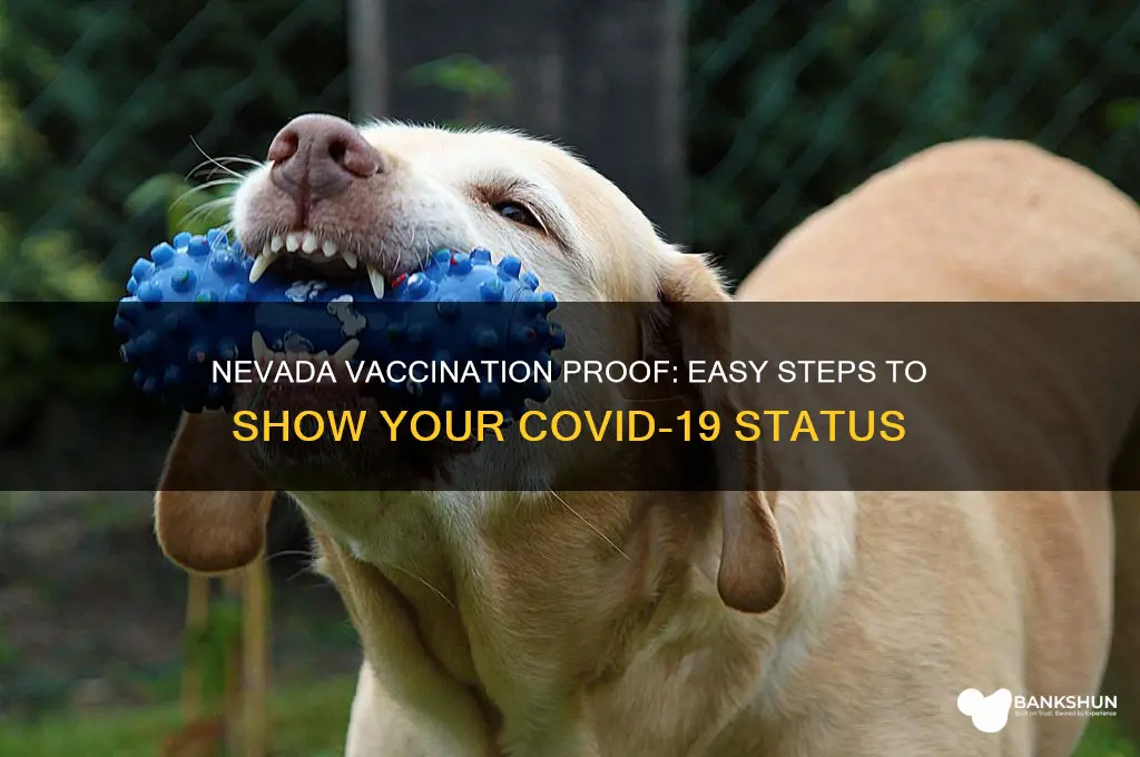 how to show proof of vaccination nevada