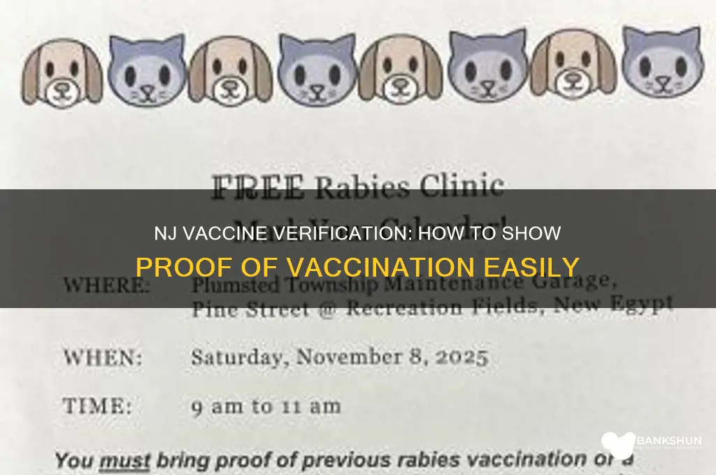 how to show proof of vaccination nj