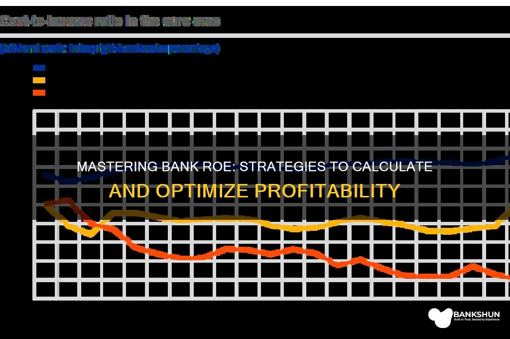 how to solve roe for a bank