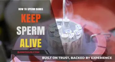 Preserving Life: The Science Behind Sperm Banks' Storage Techniques