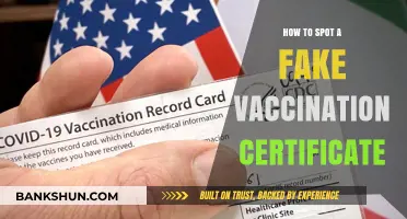 Identifying Fake Vaccination Certificates: Essential Tips for Verification and Safety