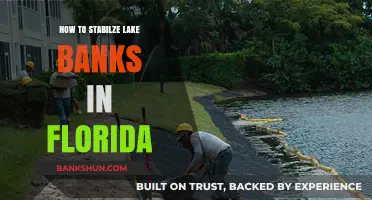 Effective Strategies to Stabilize and Protect Florida's Lake Banks