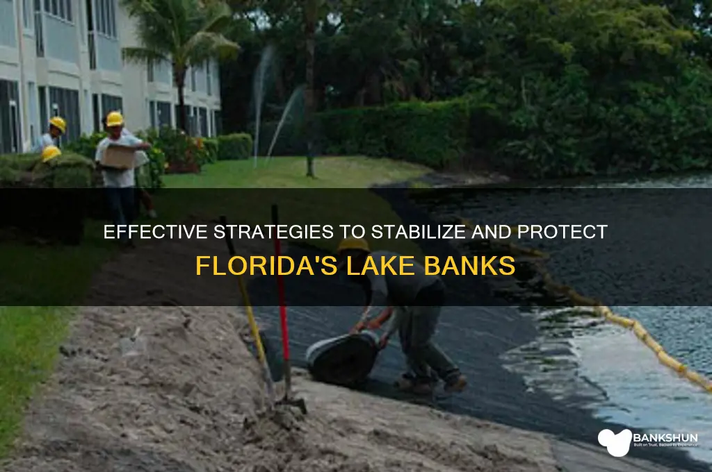 how to stabilze lake banks in florida