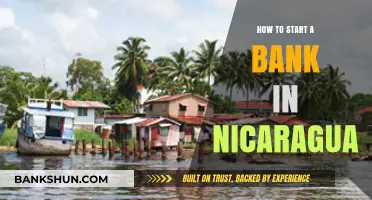 Launching a Bank in Nicaragua: Essential Steps and Requirements