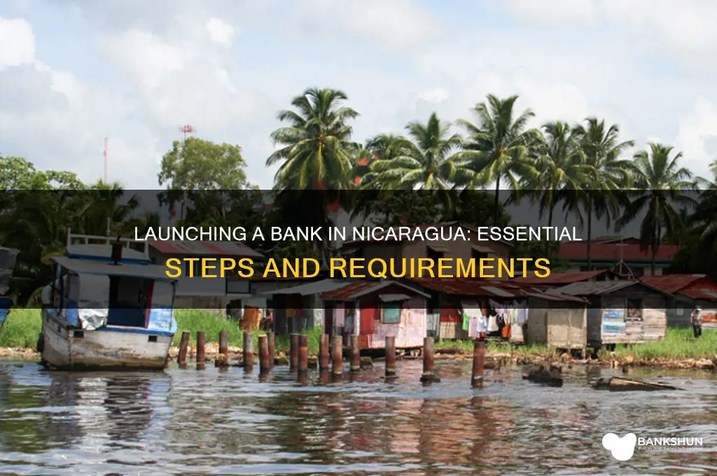 how to start a bank in nicaragua
