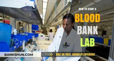 Essential Steps to Launching a Successful Blood Bank Laboratory