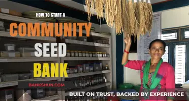 Cultivating Local Resilience: A Step-by-Step Guide to Starting a Community Seed Bank