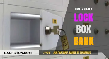 Secure Your Future: A Step-by-Step Guide to Starting a Lock Box Bank