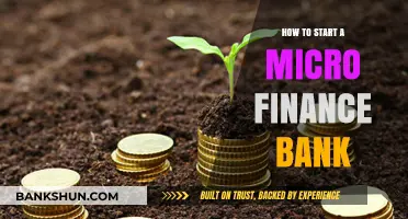 Launching a Micro Finance Bank: Essential Steps for Success