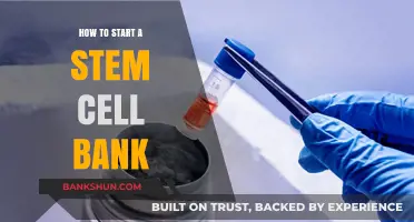 Launching a Stem Cell Bank: Essential Steps for Success