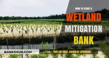Creating Wetland Mitigation Banks: A Step-by-Step Guide to Success