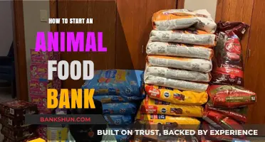 Launching an Animal Food Bank: A Step-by-Step Guide to Help Pets in Need