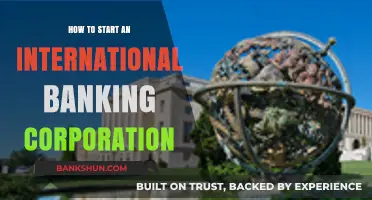 Launching a Global Bank: Essential Steps to Establish Your International Corporation