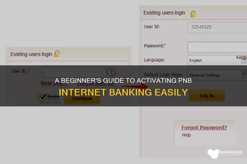 how to start internet banking in pnb