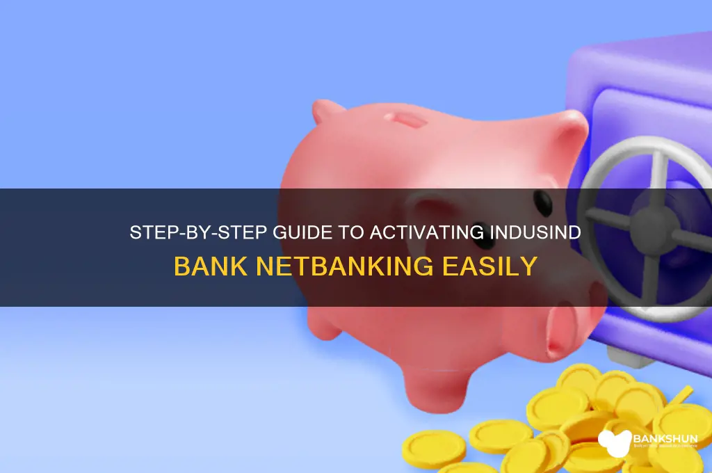 how to start netbanking in indusind bank