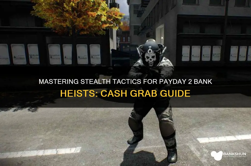 how to stealth payday 2 bank cash