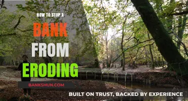 Preventing Bank Erosion: Effective Strategies to Protect Your Financial Institution