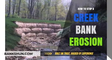 Effective Strategies to Prevent Creek Bank Erosion and Protect Waterways