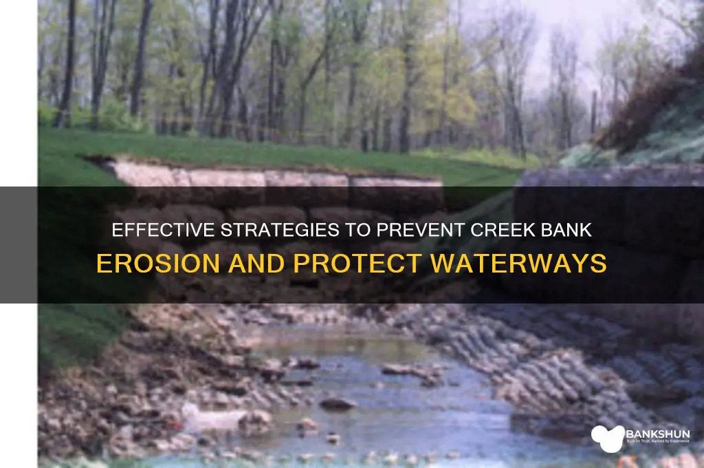 how to stop a creek bank erosion