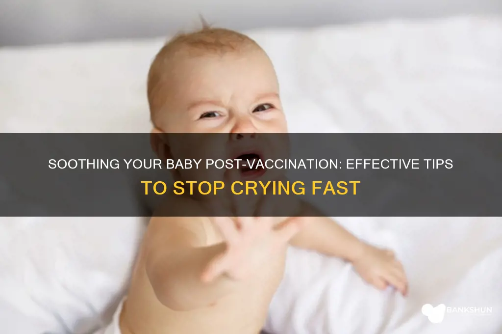 how to stop baby crying after vaccination