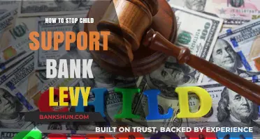 Prevent Child Support Bank Levy: Effective Strategies to Protect Your Finances