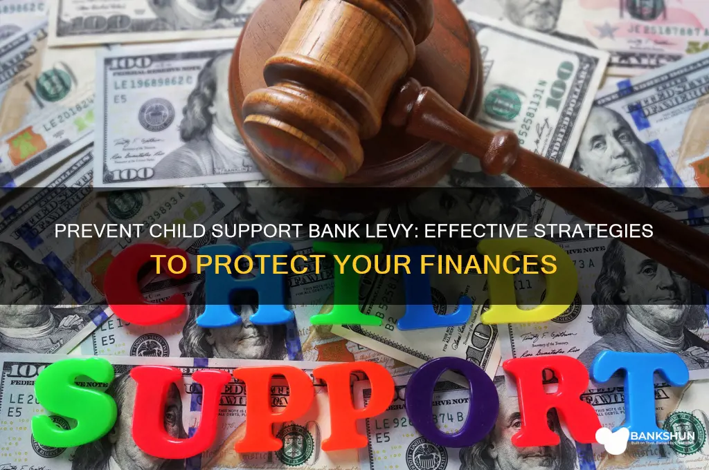 how to stop child support bank levy